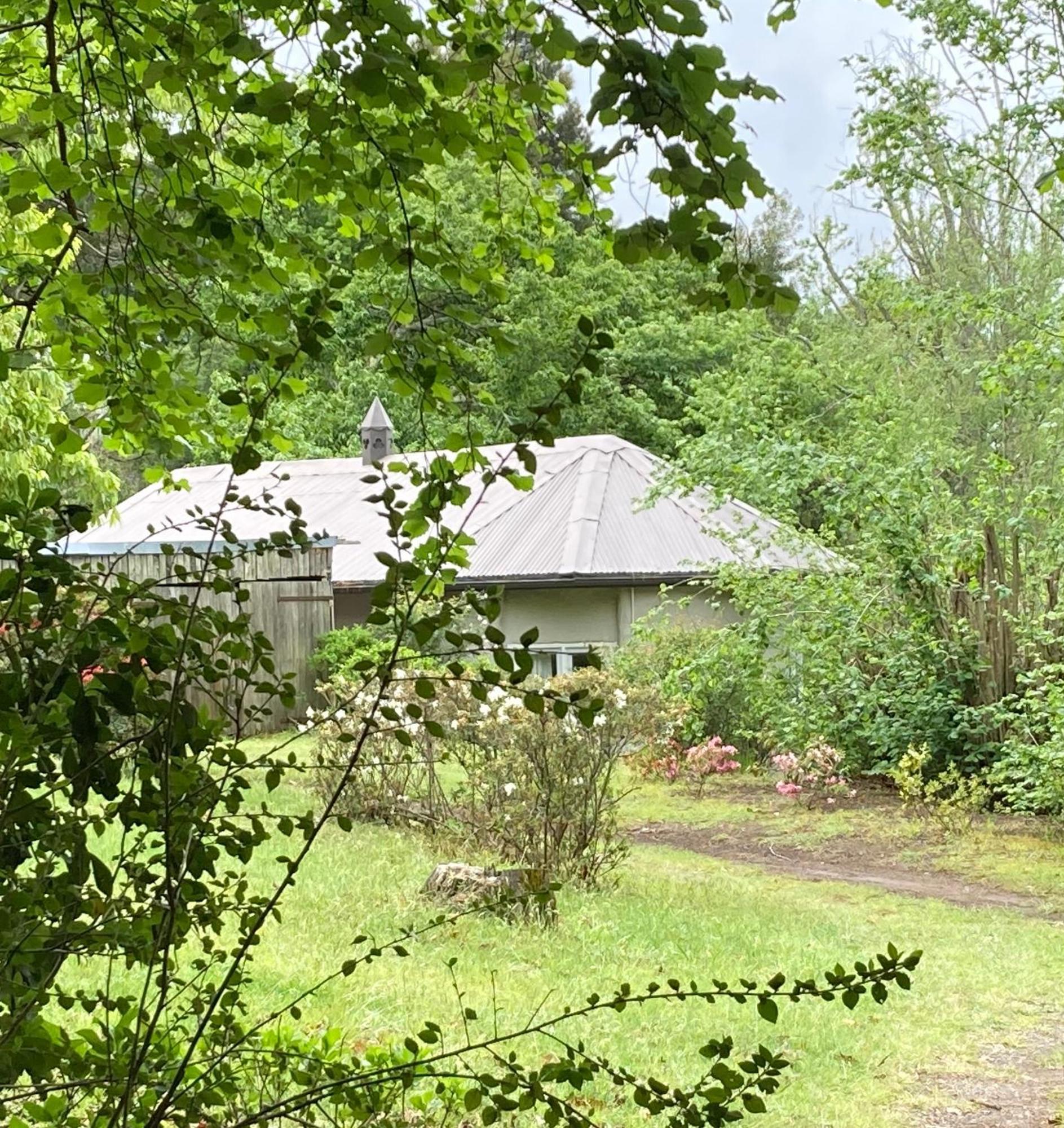 Bramber Cottage Hogsback, Living With Joy! Zewnętrze zdjęcie