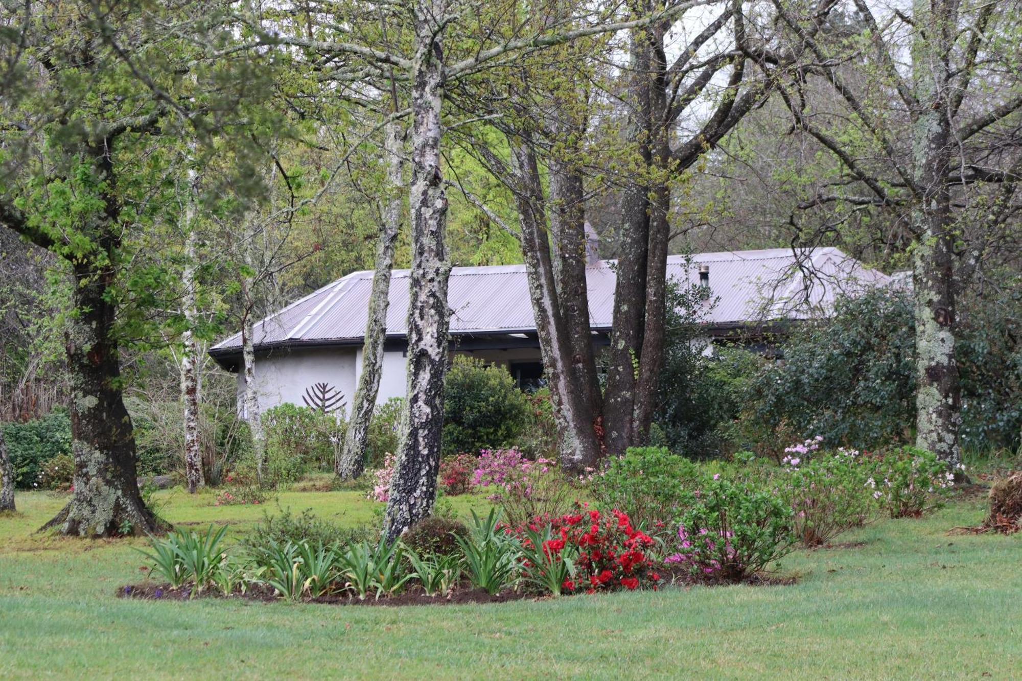 Bramber Cottage Hogsback, Living With Joy! Zewnętrze zdjęcie