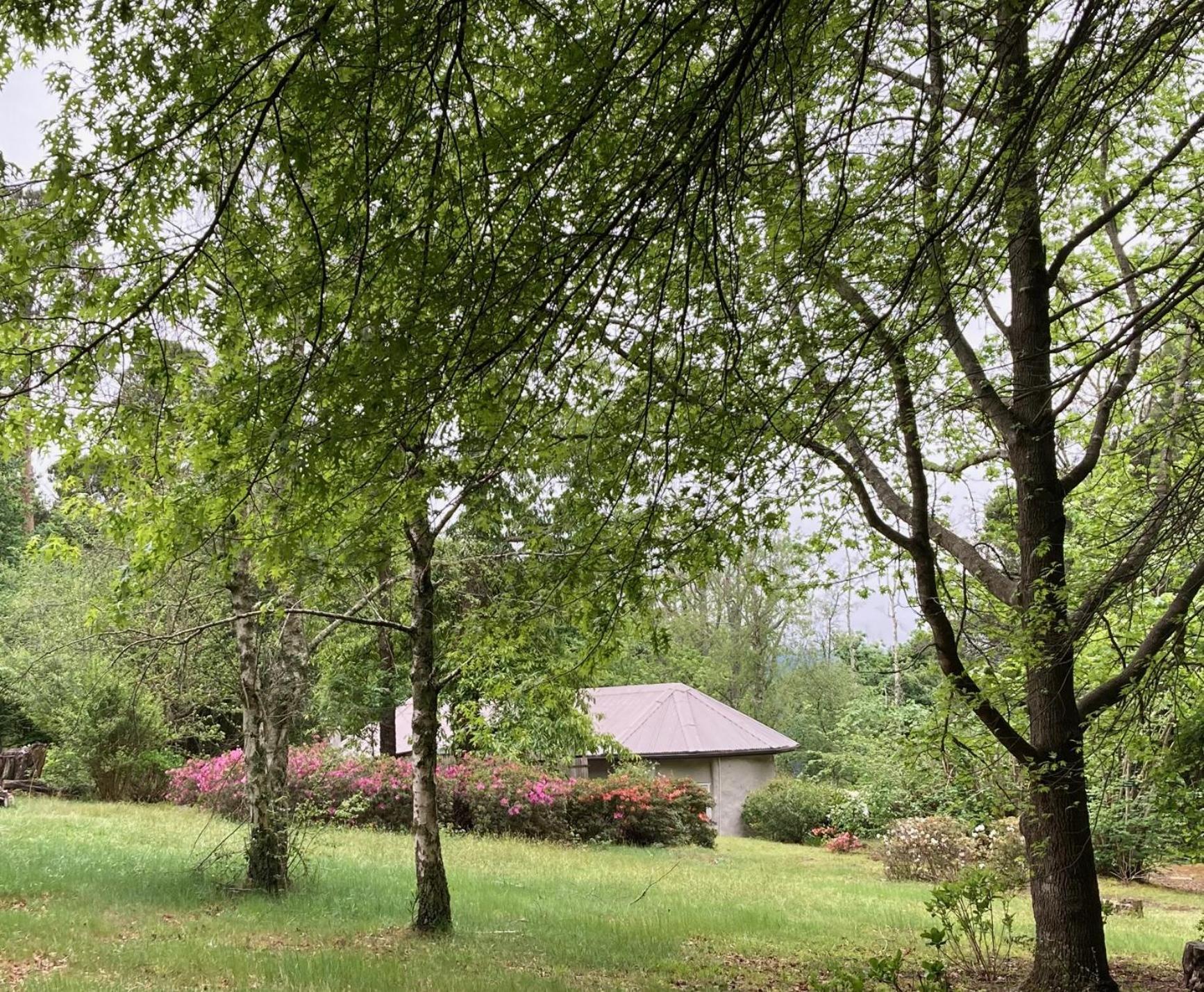 Bramber Cottage Hogsback, Living With Joy! Zewnętrze zdjęcie